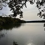 Sergjuli