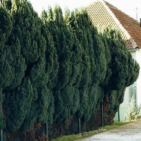 Sergjuli Gasthuis